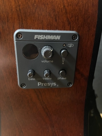 Simon & Patrick Woodland Concert Acoustic/Electric Guitar 2